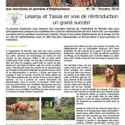 Journal des éléphanteaux 26