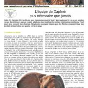 Journal des éléphanteaux 21
