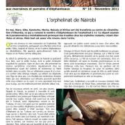 Journal des éléphanteaux 16