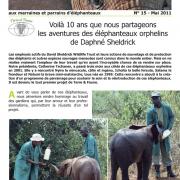 Journal des éléphanteaux 15