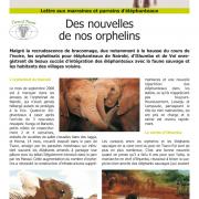 Journal des éléphanteaux 11