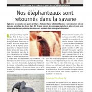 Journal des éléphanteaux 08