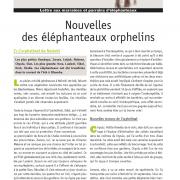 Journal des éléphanteaux 06