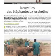 Journal des éléphanteaux 05