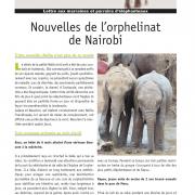 Journal des éléphanteaux 04